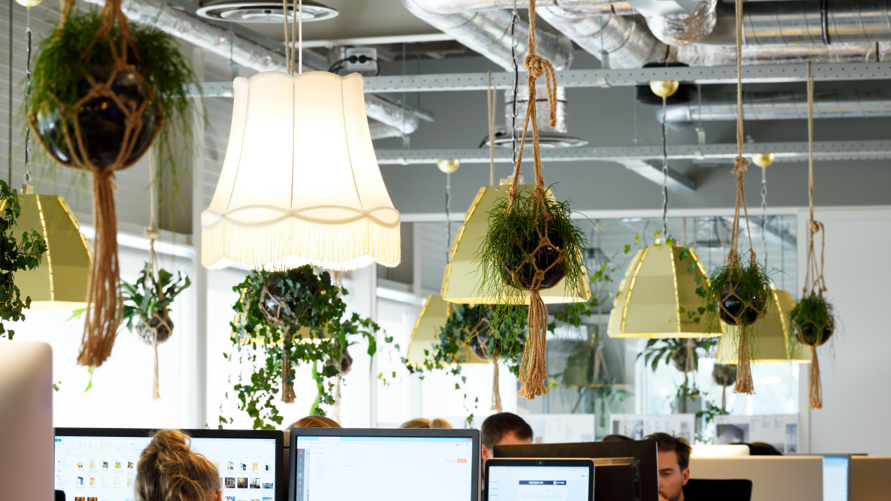 QLF Brands B.V. (lampenlicht.nl) Hapert afbeelding 1